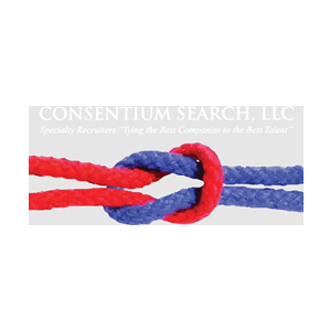 Consentium Search LLC